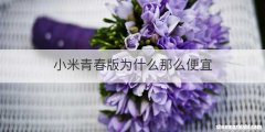 小米青春版为什么那么便宜