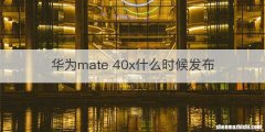 华为mate 40x什么时候发布