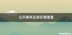 公开赛杯足球在哪里看