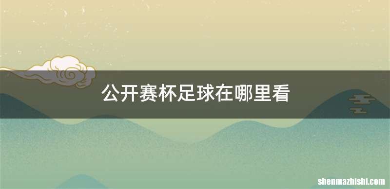 公开赛杯足球在哪里看