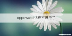oppowatch3充不进电了
