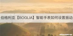 伯格利亚【BOGLIA】智能手表如何设置振动
