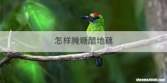怎样腌糖醋地藕