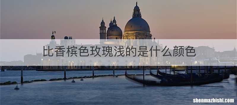 比香槟色玫瑰浅的是什么颜色