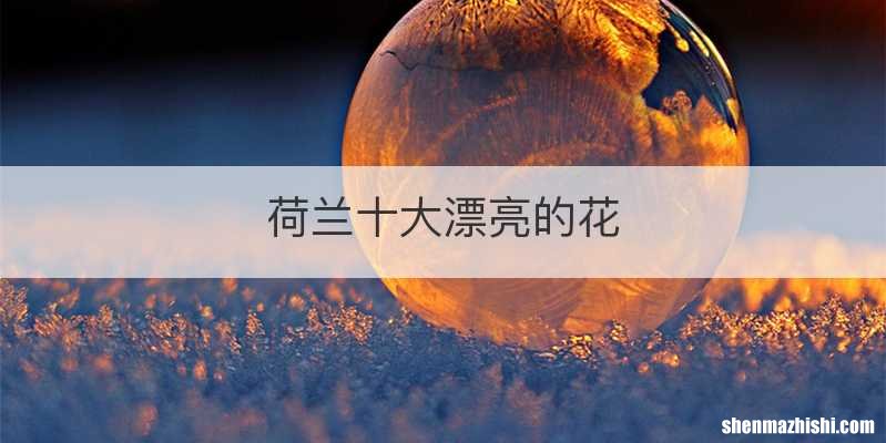 荷兰十大漂亮的花