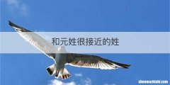 和元姓很接近的姓
