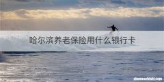 哈尔滨养老保险用什么银行卡