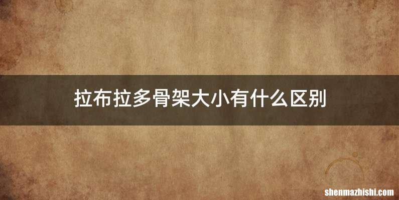 拉布拉多骨架大小有什么区别