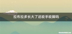 拉布拉多长大了还咬手咬脚吗