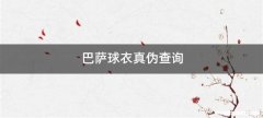 巴萨球衣真伪查询