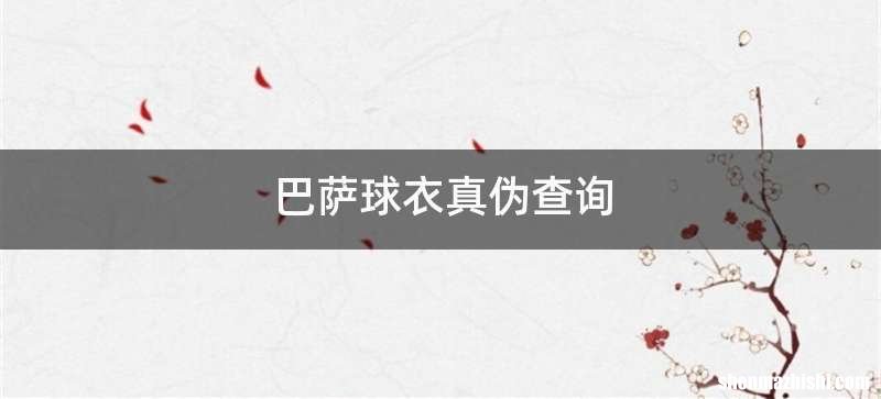 巴萨球衣真伪查询