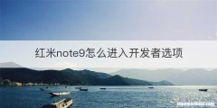 红米note9怎么进入开发者选项