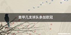 意甲几支球队参加欧冠