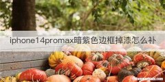 iphone14promax暗紫色边框掉漆怎么补