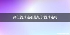 拜仁的球迷都是切尔西球迷吗