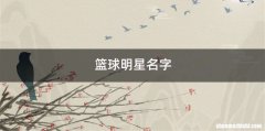 篮球明星名字
