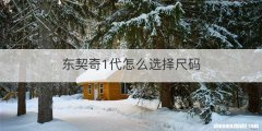 东契奇1代怎么选择尺码