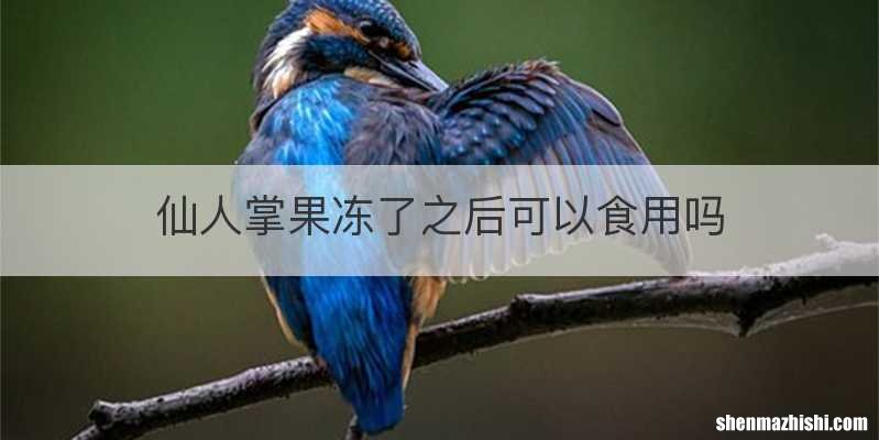 仙人掌果冻了之后可以食用吗