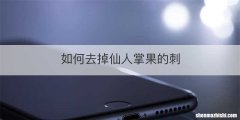 如何去掉仙人掌果的刺