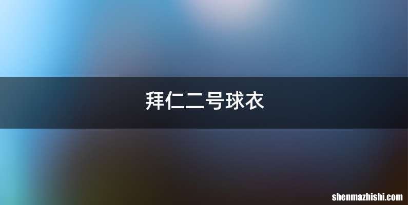 拜仁二号球衣