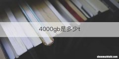 4000gb是多少t