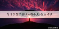 为什么在技嘉bios看不见u盘启动项