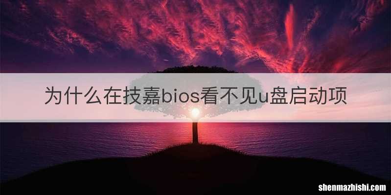 为什么在技嘉bios看不见u盘启动项