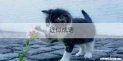 近似成语