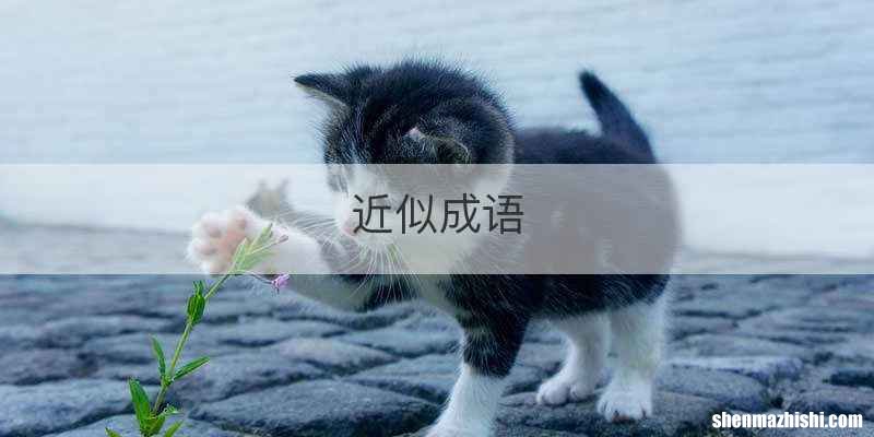 近似成语