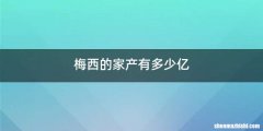 梅西的家产有多少亿