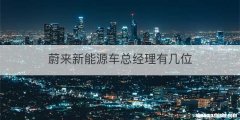 蔚来新能源车总经理有几位