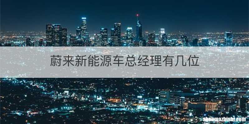 蔚来新能源车总经理有几位