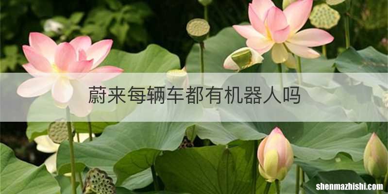 蔚来每辆车都有机器人吗