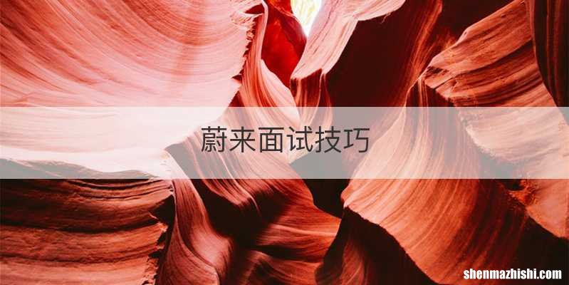 蔚来面试技巧