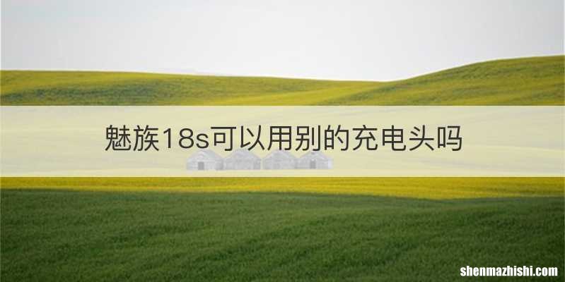 魅族18s可以用别的充电头吗
