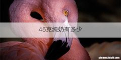 45克纯奶有多少