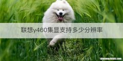 联想y460集显支持多少分辨率