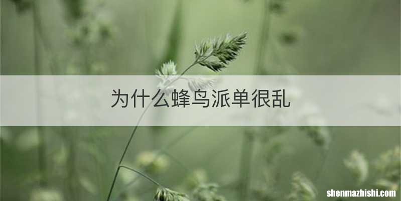 为什么蜂鸟派单很乱