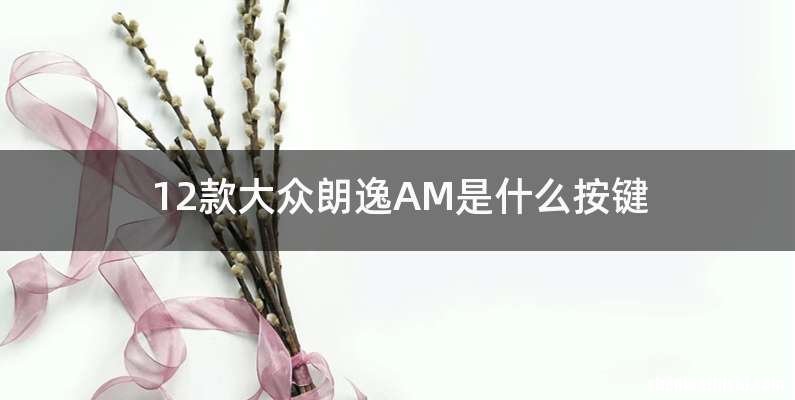 12款大众朗逸AM是什么按键