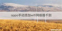 oppo手动添加wifi网络搜不到