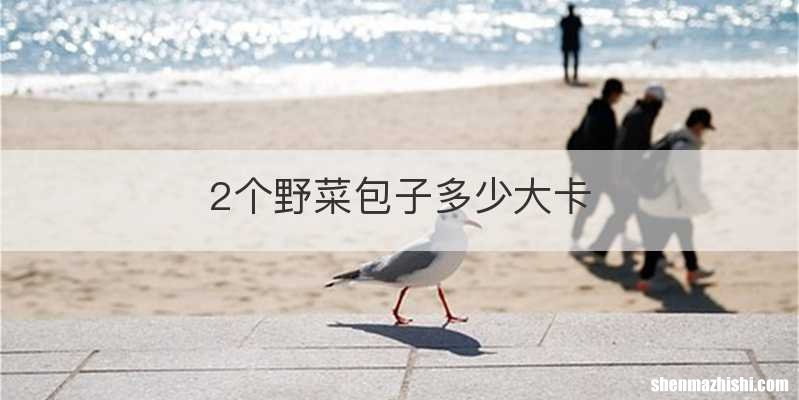 2个野菜包子多少大卡