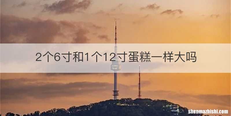 2个6寸和1个12寸蛋糕一样大吗