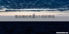 雪白银约克夏2个月好养吗