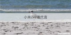小米cv2谁代言