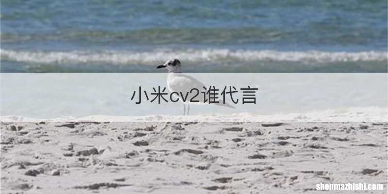 小米cv2谁代言