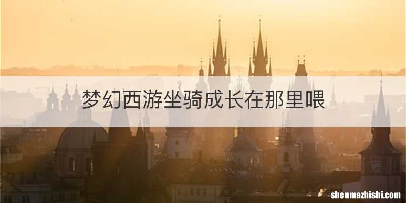 梦幻西游坐骑成长在那里喂