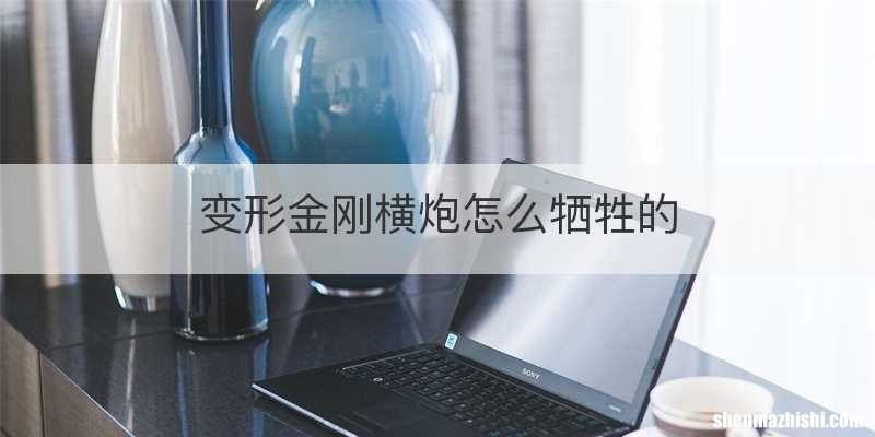 变形金刚横炮怎么牺牲的