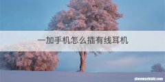 一加手机怎么插有线耳机