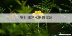 安仕浦净水器靠谱吗