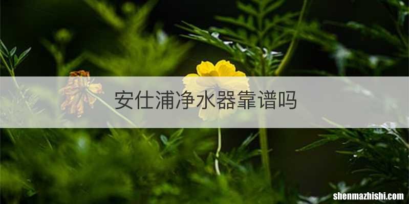 安仕浦净水器靠谱吗